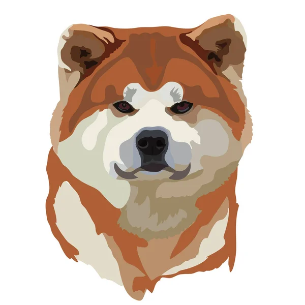 Illustration Vectorielle Chien Akita Inu — Image vectorielle