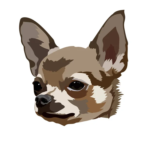 Chihuahua Vecteur Tête Chien — Image vectorielle