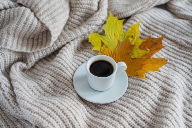 Örgü bir süveterin üzerinde bir kupa kahve var, sonbahar yaprakları yakında.