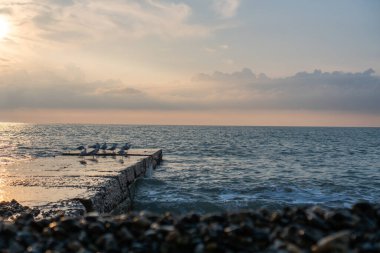 Soçi 'de Karadeniz' de Gün Batımı