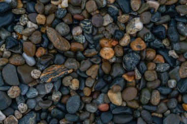 Sahilde ıslak taşlar