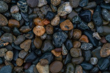 Sahilde ıslak taşlar