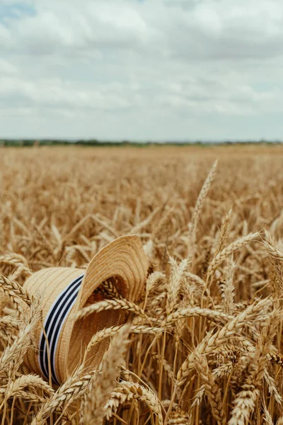 Veteöron Sommarfältet — Stockfoto