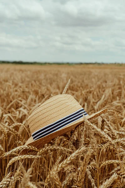 Hatten Ligger Fältet Öronen Vete — Stockfoto