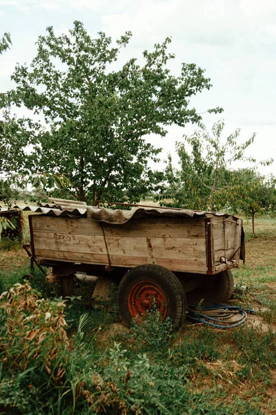 Dřevěný Vozík Zahradě — Stock fotografie