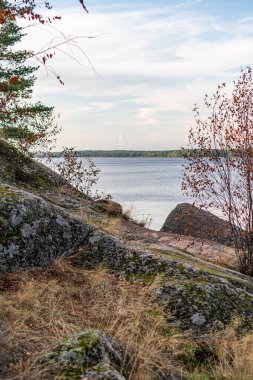 Ormanda göl ve çardak