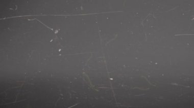 Çizikler ve hasarlarla dolu Retro TV ekranı. Ekranda boşluklar ve hasarlı film şeritleri var. Eski filmlerde renkli hasar. Bozukluk, çizikler ve ışık sızıntıları.