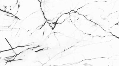 Temiz beyaz bir yüzey üzerinde hızlı hareket eden siyah çizikler içeren dinamik bir arka plan. Enerjik grunge dokusu bir hareket ve çerçeve değişimi hissi yaratır. Metin örtüşmeleri, girişler, geçişler ve yaratıcı düzenlemeler için mükemmel hale getirir.