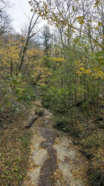 Rusya Krasnodar Bölgesi Gebius Şelalesi Yakınlarındaki Sonbahar Ormanı — Stok fotoğraf