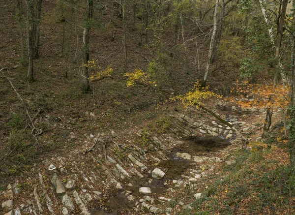 Rusko Krasnodární Oblast Podzimní Les Skály Vodopádů Gebius — Stock fotografie