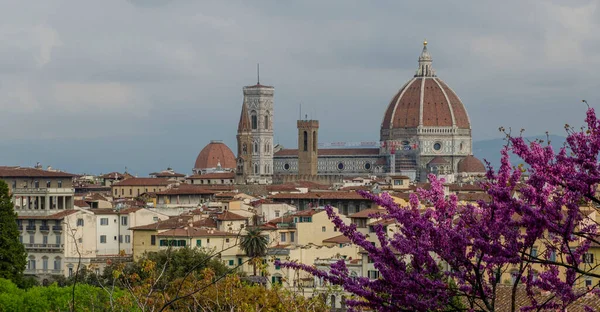 2019 Italie Florence Panorama Ville — Photo