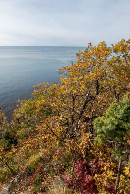  - Rusya. Dzhubga yakınlarındaki Karadeniz manzarası.