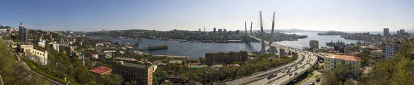 2020 Russia Primorye Panorama Vladivostok — Stock Photo, Image