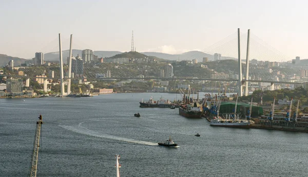 2020 Rusia Primorye Panorama Vladivostok — Foto de Stock