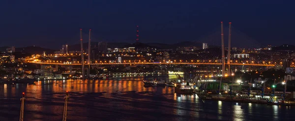 2020 Rusia Primorye Panorama Nocturno Vladivostok — Foto de Stock