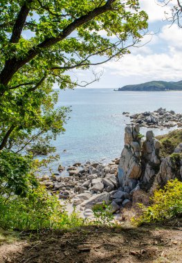 - Rusya. Primorye. Japon Denizi kıyısında..