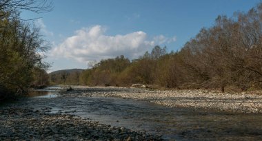 - Rusya. Krasnodar bölgesi. Pshada Nehri 'nin Fotoğrafı.