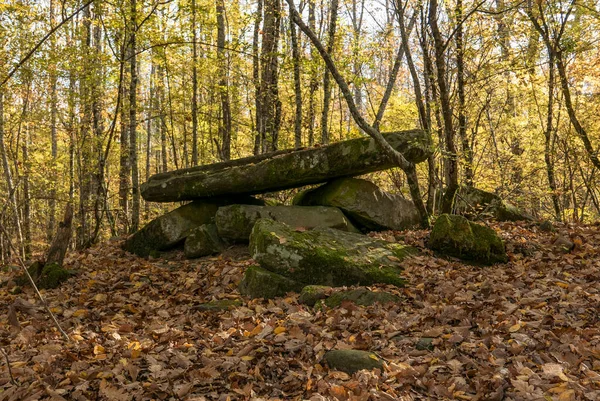 Rússia Região Krasnodar Dolmen Floresta Perto Aldeia Pshada — Fotografia de Stock