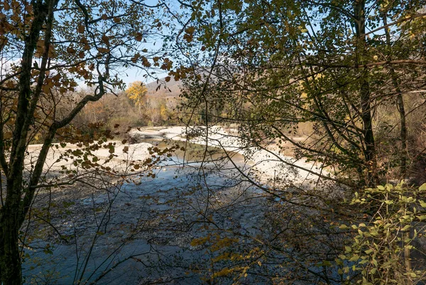 Rusko Krasnodární Oblast Pohled Lesa Řeku Pshadu — Stock fotografie