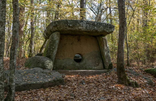 Russia Regione Krasnodar Dolmen Nella Foresta Vicino Villaggio Pshada — Foto Stock