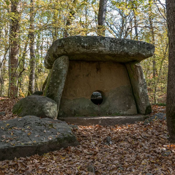 Rússia Região Krasnodar Dolmen Floresta Perto Aldeia Pshada — Fotografia de Stock