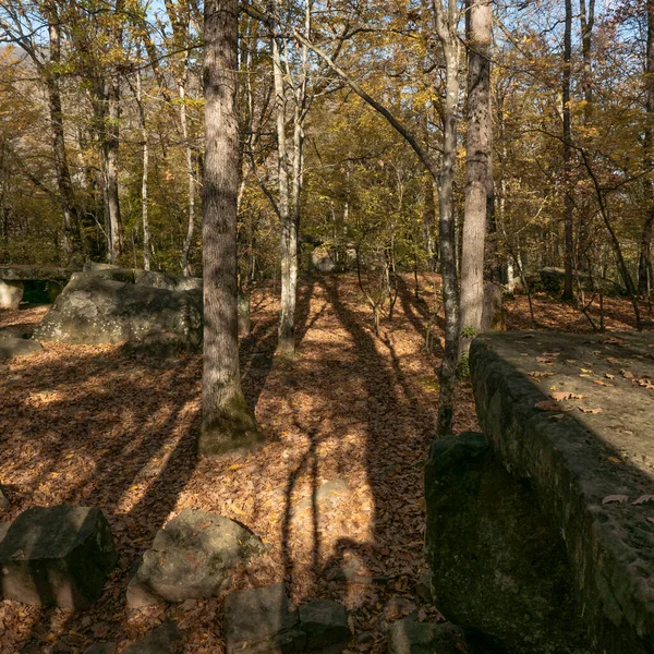 Rusia Región Krasnodar Dólmenes Bosque Cerca Del Pueblo Pshada — Foto de Stock