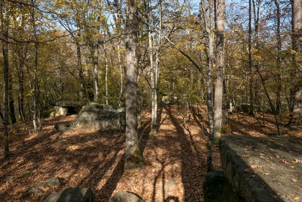 Rosja Krasnodarski Region Dolmens Lesie Pobliżu Wsi Pshada — Zdjęcie stockowe