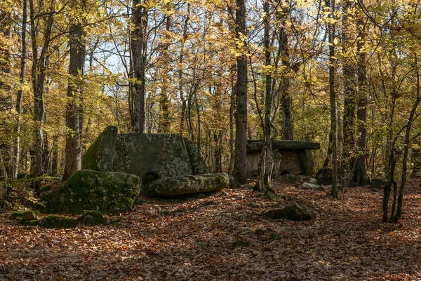 Rússia Região Krasnodar Dolmens Floresta Perto Aldeia Pshada — Fotografia de Stock