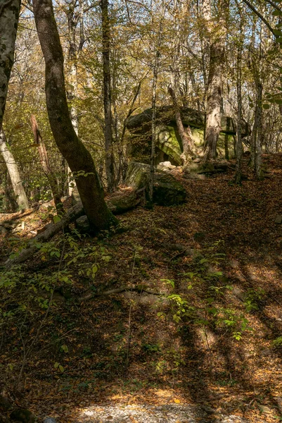 Rosja Krasnodarski Region Dolmen Lesie Pobliżu Wsi Pshada — Zdjęcie stockowe