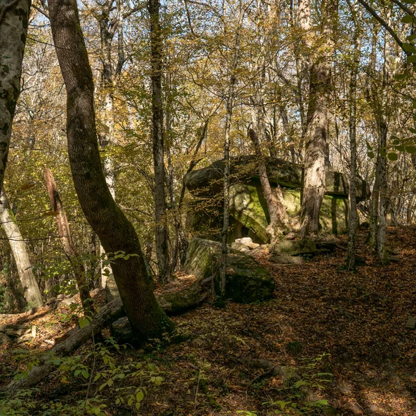 Russie Région Krasnodar Dolmen Dans Forêt Près Village Pshada — Photo