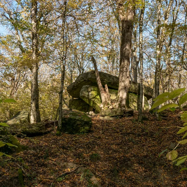 Rusko Krasnodární Oblast Dolmen Lese Vesnice Pshada — Stock fotografie