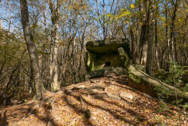 - Rusya. Krasnodar bölgesi. Dolmen, Pshada köyünün yakınındaki ormanda..  