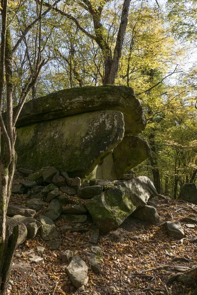 Rússia Região Krasnodar Dolmen Floresta Perto Aldeia Pshada — Fotografia de Stock