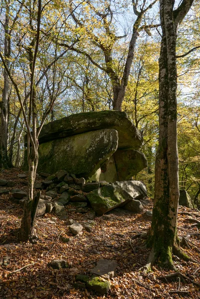 Rússia Região Krasnodar Dolmen Floresta Perto Aldeia Pshada — Fotografia de Stock