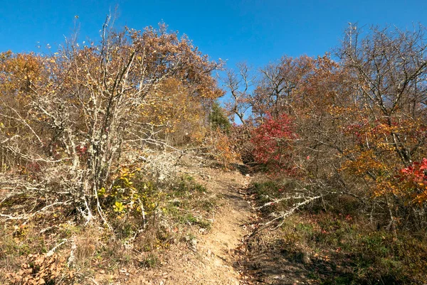 Rusland Krasnodar Regio Herfstbos Uitzicht — Stockfoto