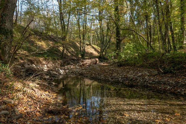 Rusya Krasnodar Bölgesi Sonbahar Orman Manzarası — Stok fotoğraf