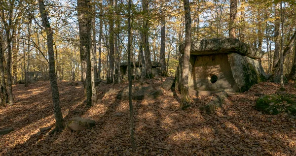 Rússia Região Krasnodar Dolmens Floresta Perto Aldeia Pshada — Fotografia de Stock