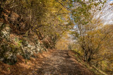 23.11.2018 Rusya. Krasnodar bölgesi. Orekhovsky şelalesine giden toprak yol..