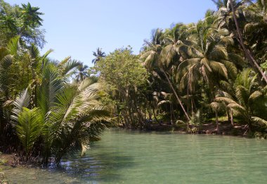 Çevre Kawasan düşüyor.