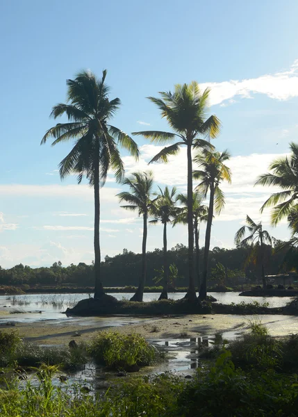 Paisaje Filipino —  Fotos de Stock