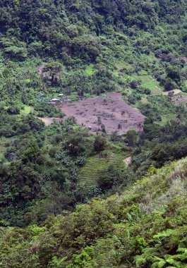 Cebu Adası. Dağ manzarası.