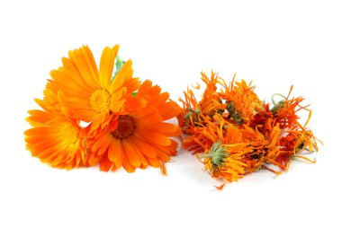 Calendula officinalis çiçek, kadife çiçeği, kurutulmuş