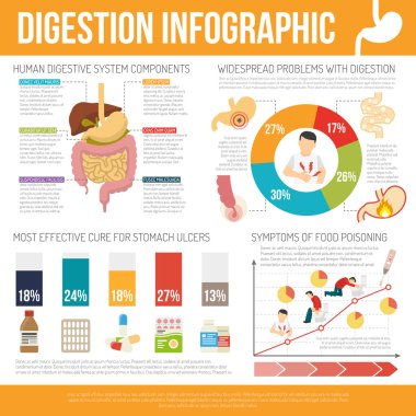 Digestion Infographic Set clipart