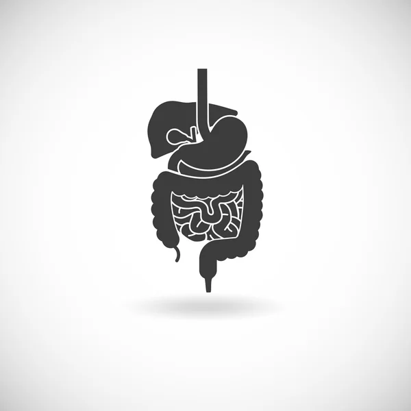 Sindirim sistemi illüstrasyon — Stok Vektör
