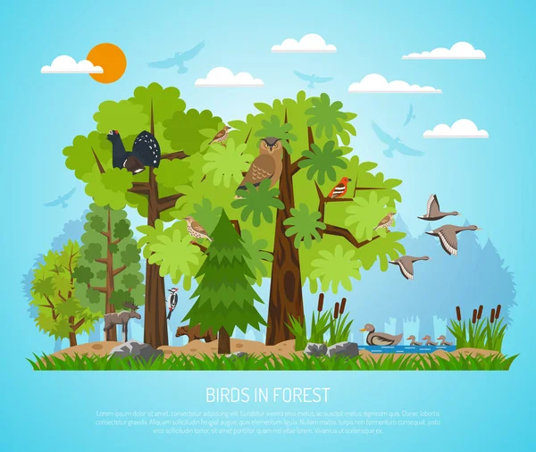 Cartel de aves en el bosque — Vector de stock