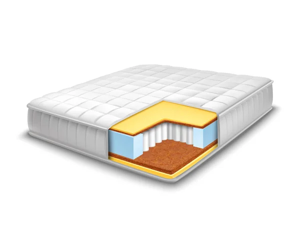 Matelas découpé avec vue sur les couches — Image vectorielle