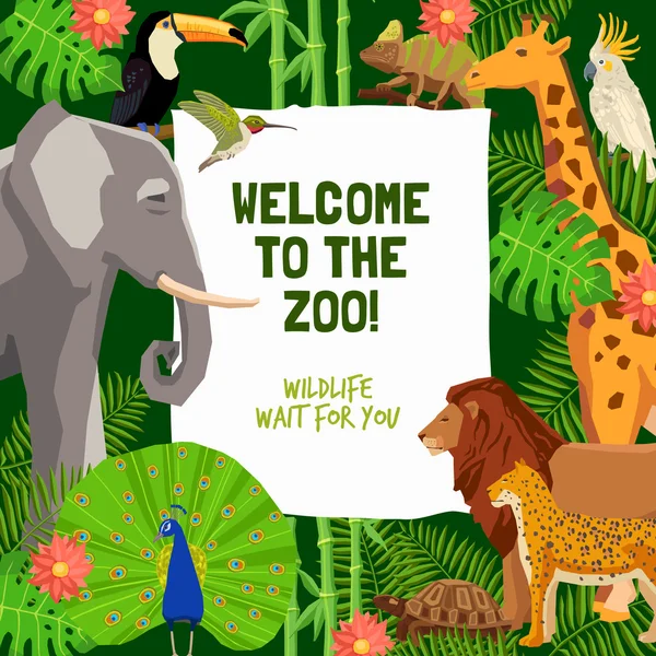 Kleurrijke affiche met de uitnodiging voor een bezoek aan Zoo — Stockvector