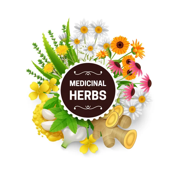 Medicinal Herbs Plants Wreath Flat Frame — Stock Vector