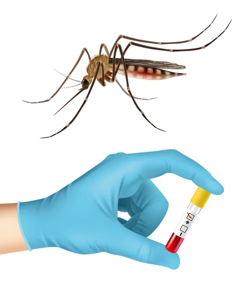 Mosquito en bloedonderzoek — Stockvector