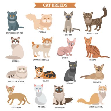 Cat breed set clipart
